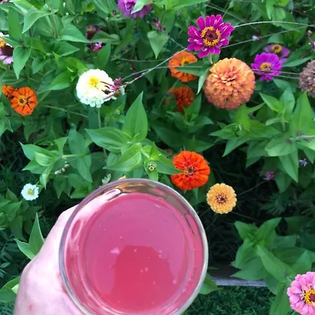 Plaka Luxury Litochoro