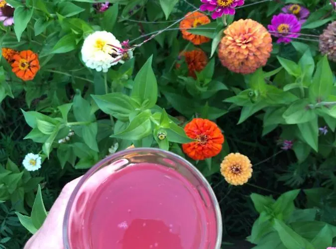 Plaka Luxury Litóchoron