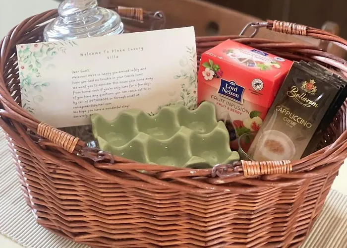 Plaka Luxury Villa *